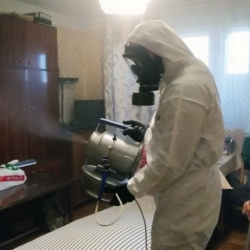 Дезинфекция от клопов в Глебовском
