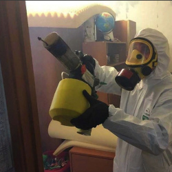 Уничтожение клопов в квартире. Глебовский